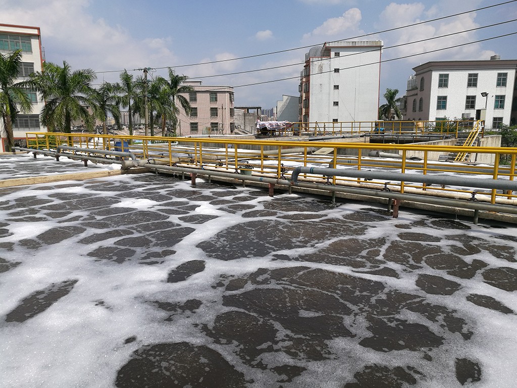 屠宰场废水微生物香蕉一区二区在线观看 屠宰场废水微生物香蕉一区二区在线观看